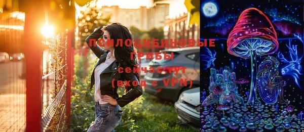 гашик Вязники
