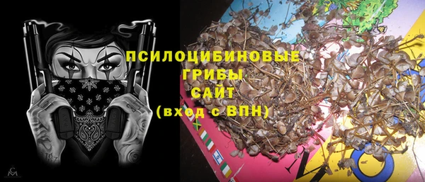 гашик Вязники
