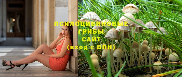 гашик Вязники