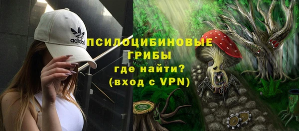 гашик Вязники