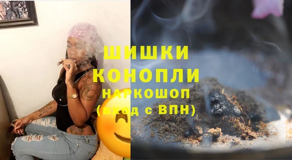 ГАЛЛЮЦИНОГЕННЫЕ ГРИБЫ Горняк