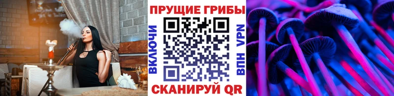 Псилоцибиновые грибы GOLDEN TEACHER Купить Лесной